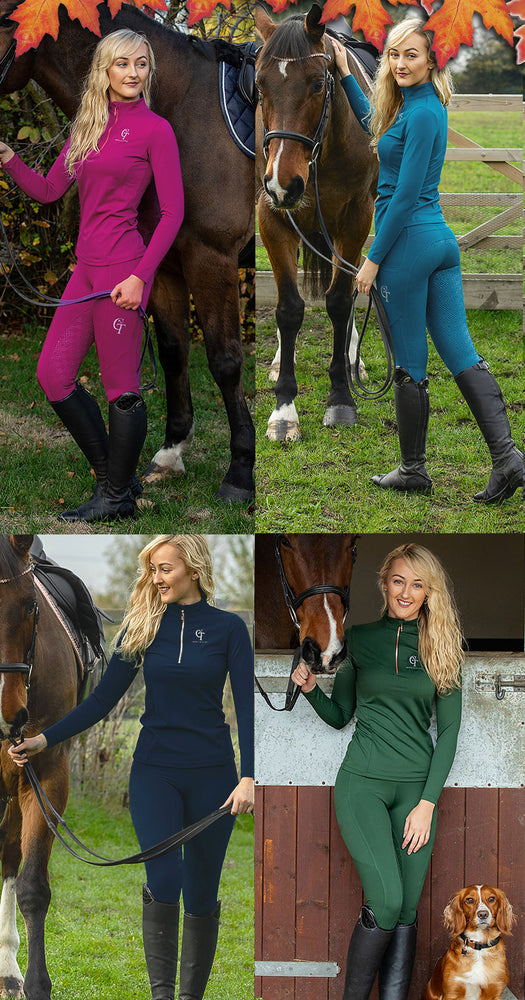 CT Equine Collection